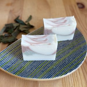 2/24　肌に優しい手作り石けん教室「琵琶の葉とシアバター石けん」