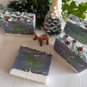 11/24　肌に優しい手作り石けん教室「シアバターのクリスマス石けん」